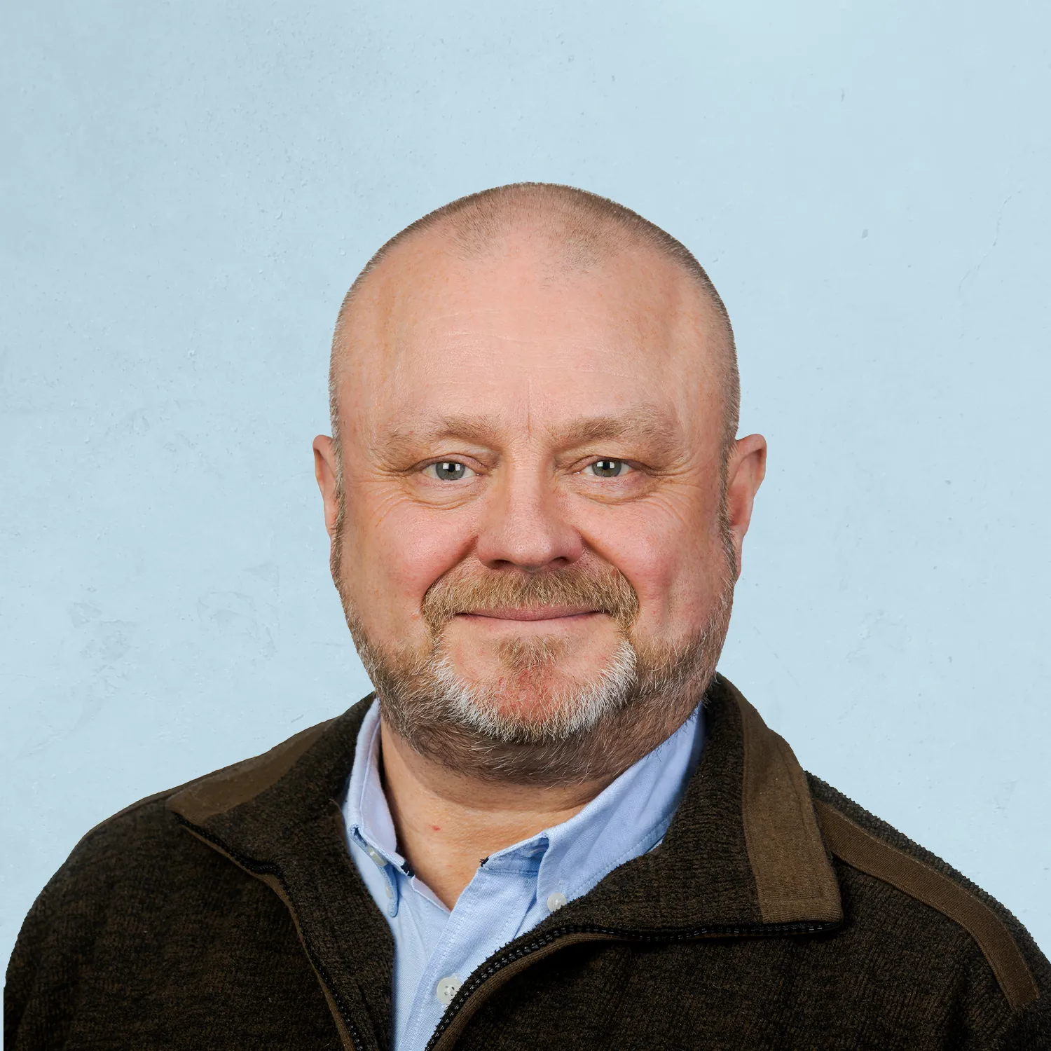 Sveinerik