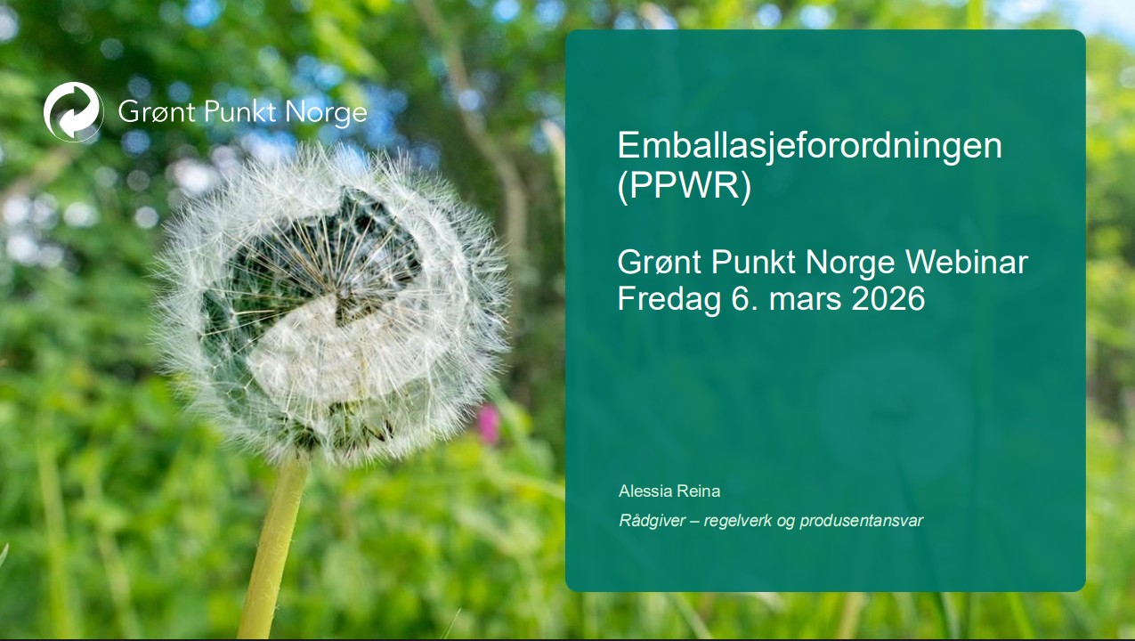 Skjermbilde 2026 03 06 134041