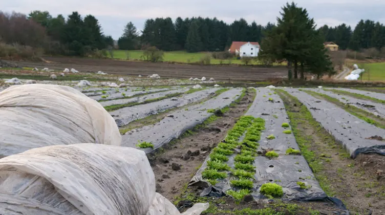 Landbruksplast GPN 01479 Foto John Inge Vemmestad