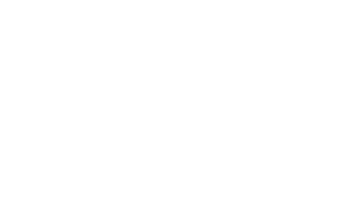 Logo for Stormberg