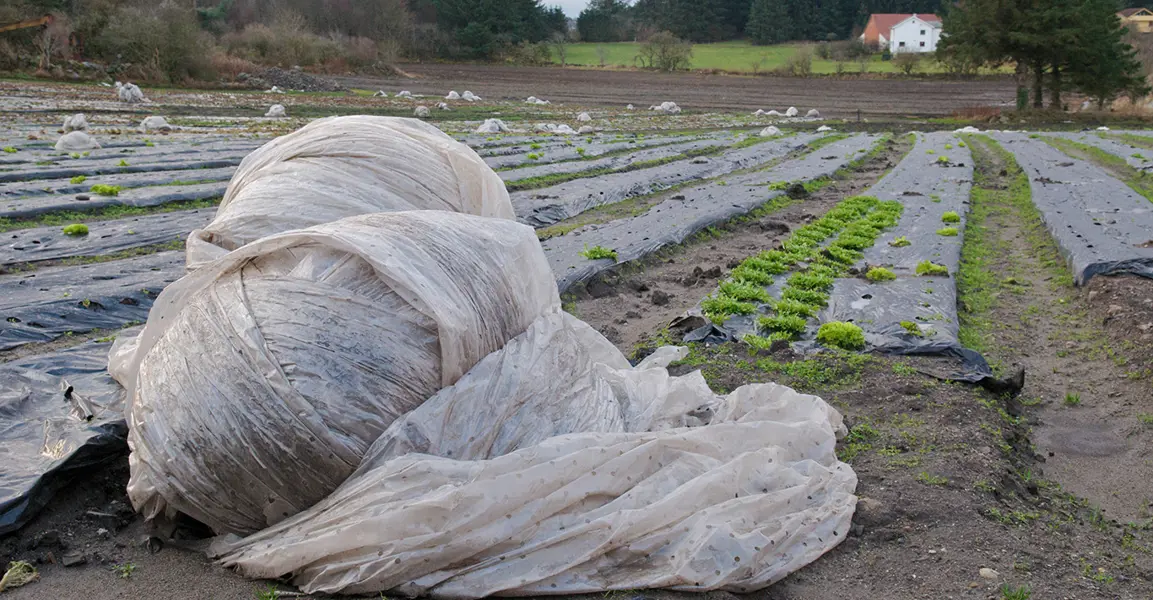 Landbruksplast GPN 01484 Foto John Inge Vemmestad Mindre