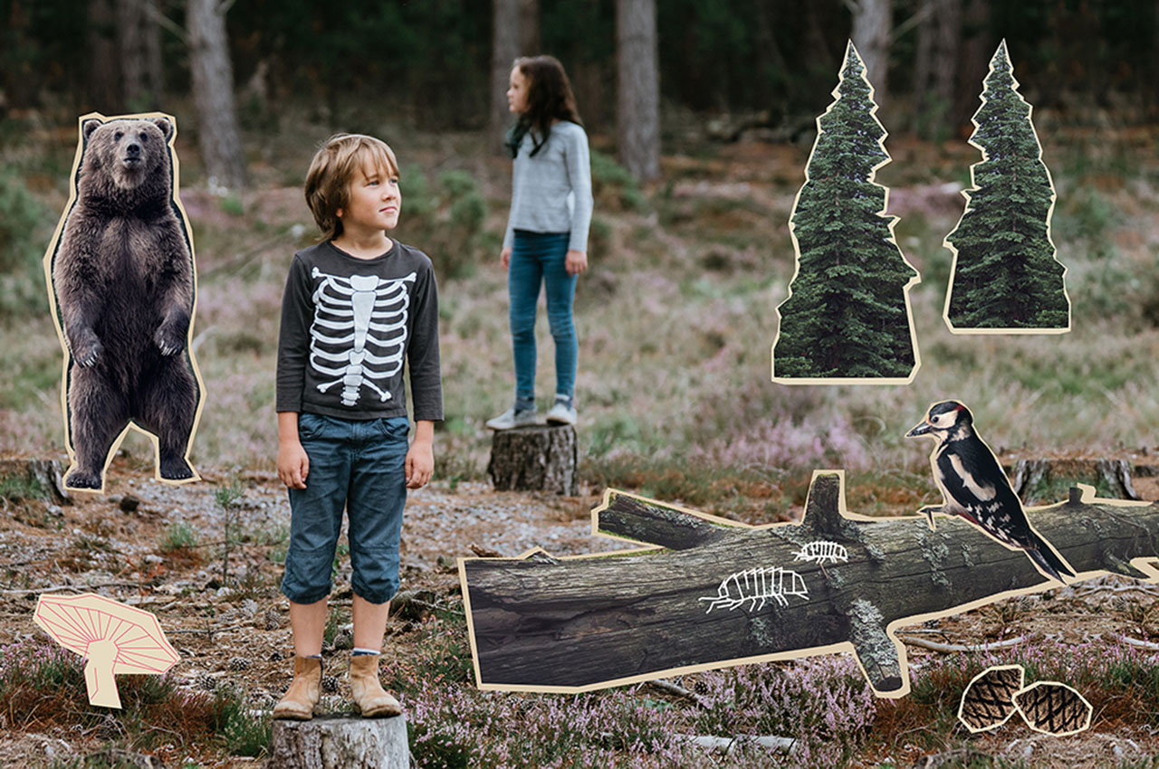 artikkelbilde_barnasskog.jpg