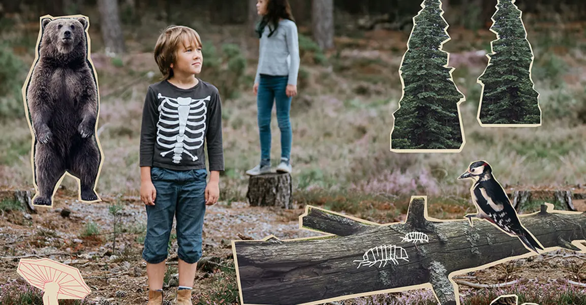 artikkelbilde_barnasskog.jpg