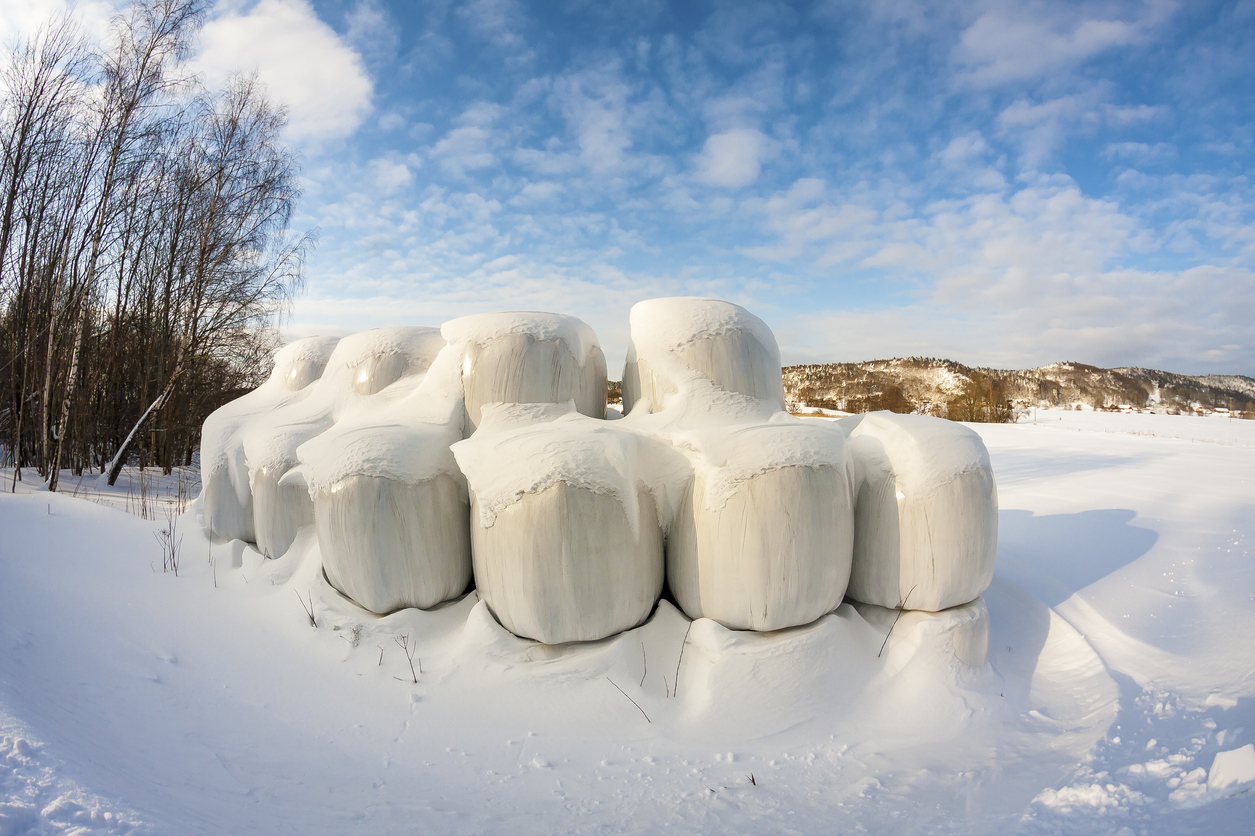 istock-679959754.jpg
