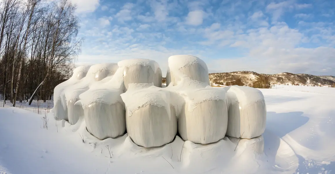 istock-679959754.jpg