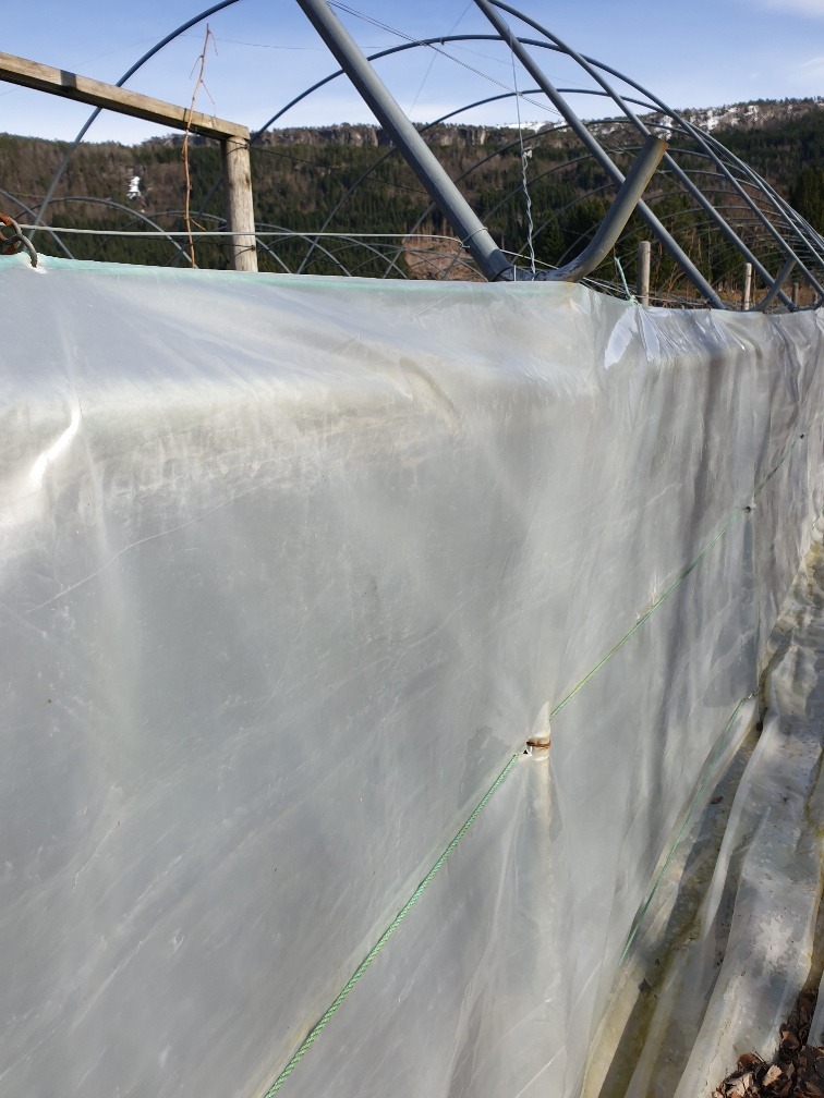 Tunnelplast