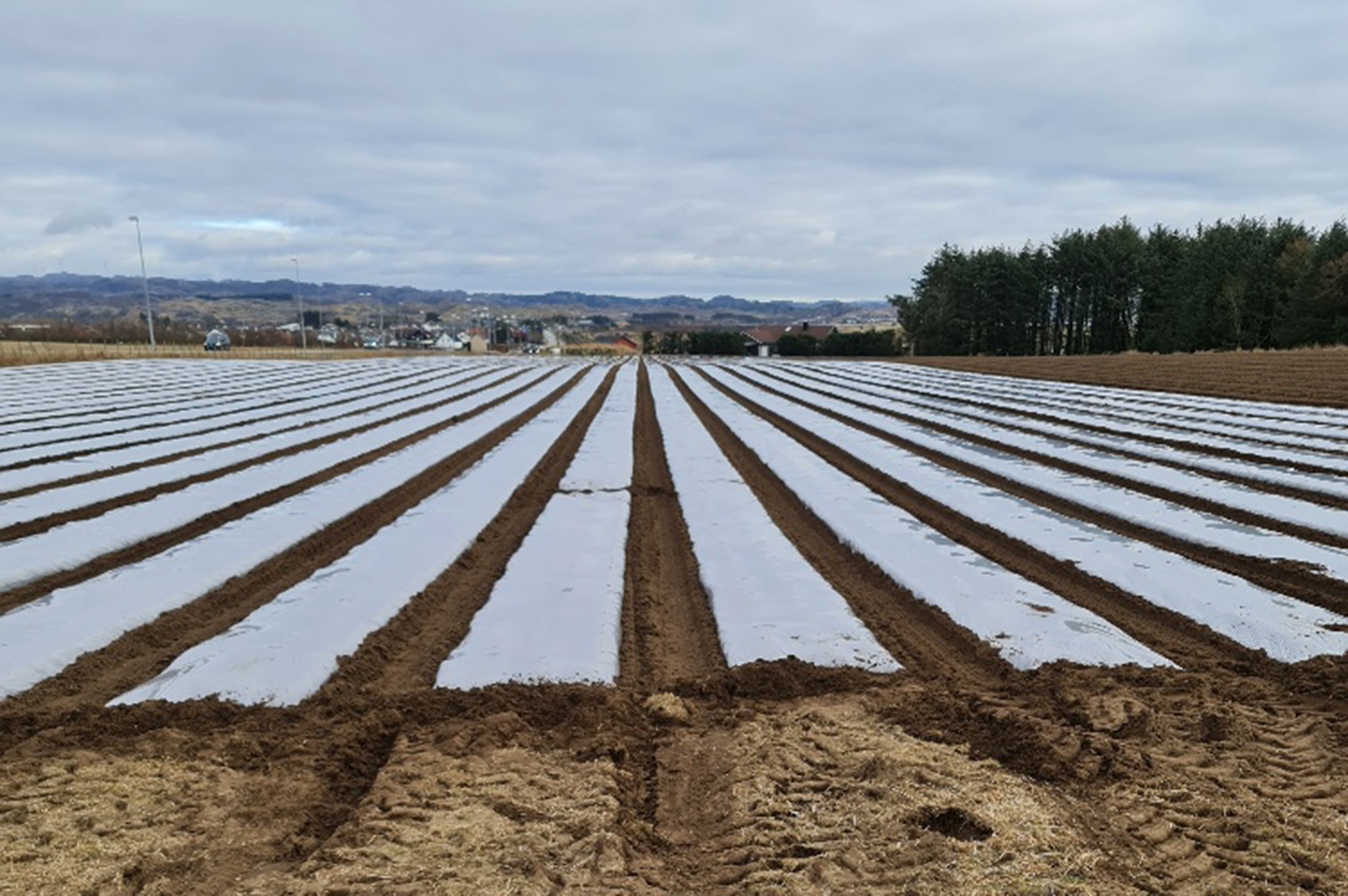 20210301 151450 Resized 2