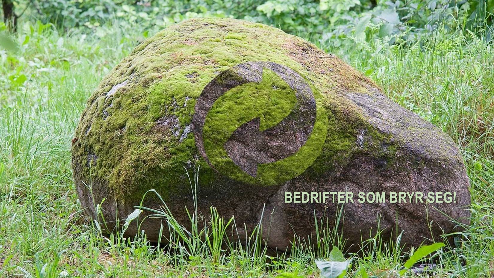 gpn_bedrifter-som-bryr-seg.jpg