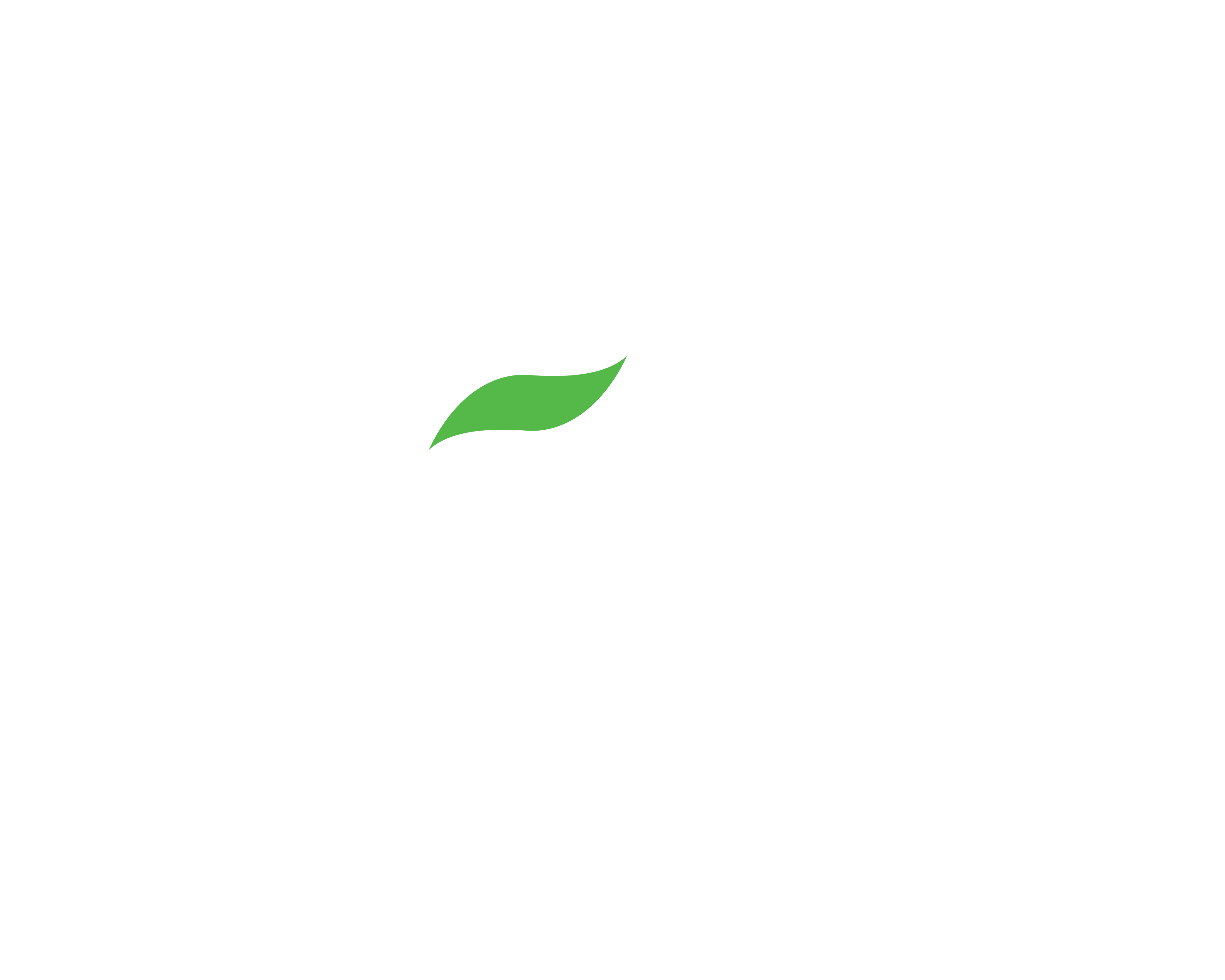 Logo Bama